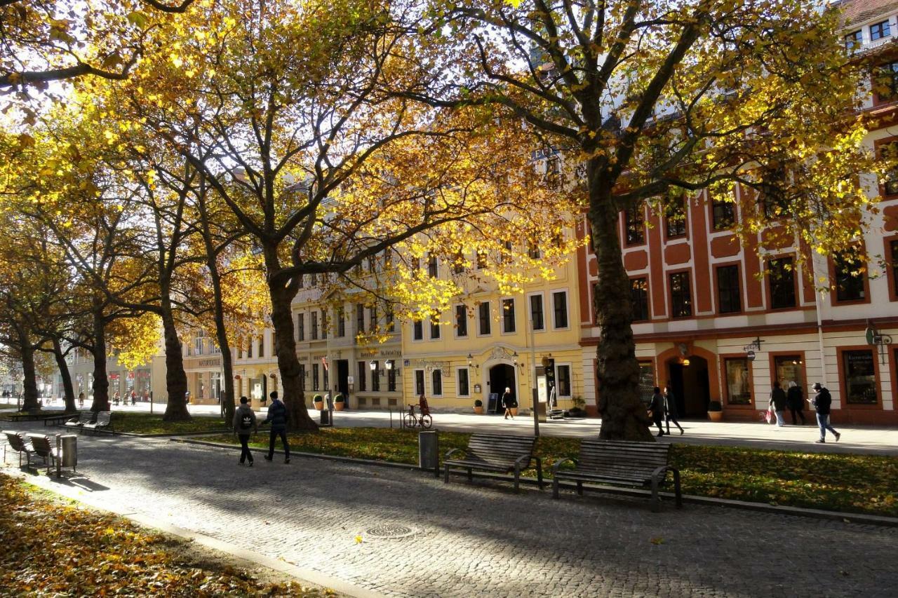Fewo Canaletto Im Stadtzentrum Дрезден Экстерьер фото